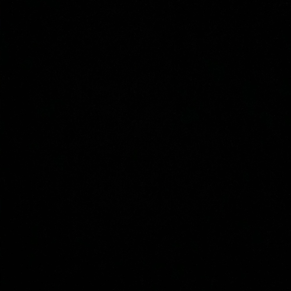 Meet your Posher, Rene